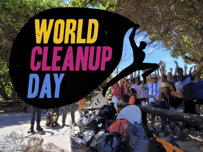 World Cleanup day